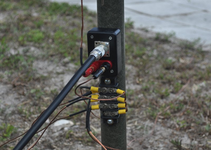 Peanut- 20M Vertical 3.jpg